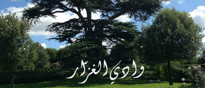 وادي الغزّار